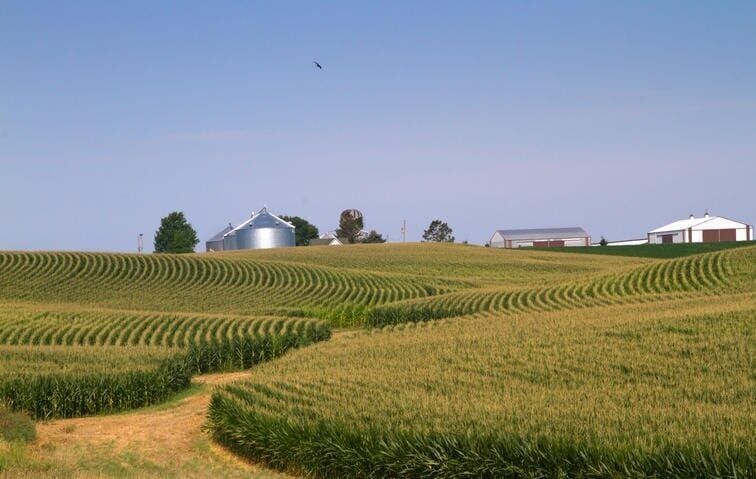 11. Iowa